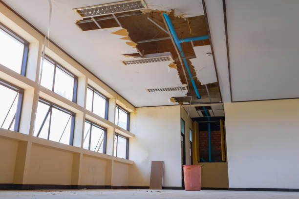 Best Professional water damage repair  in Wamac, IL