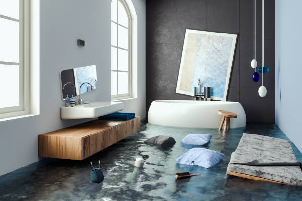 Best Water damage cleanup near me  in Wamac, IL