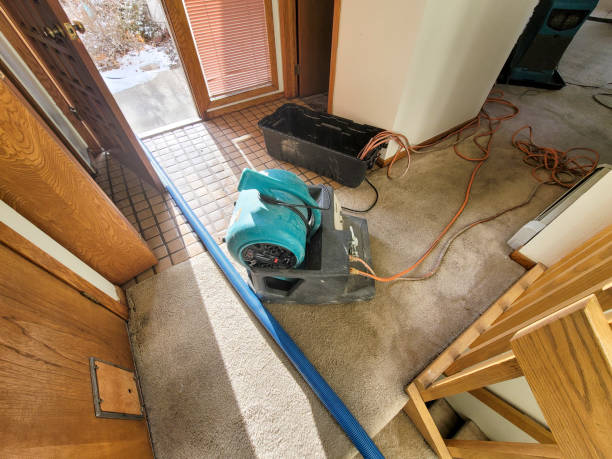 Best Water damage restoration services  in Wamac, IL