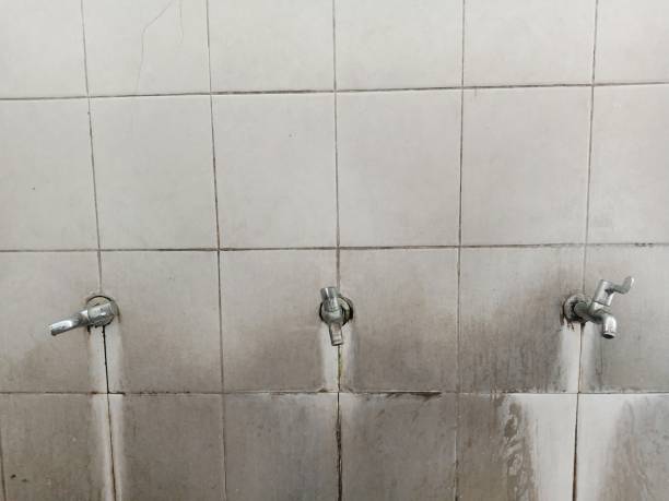 Reliable Wamac, IL Water damage restoration Solutions
